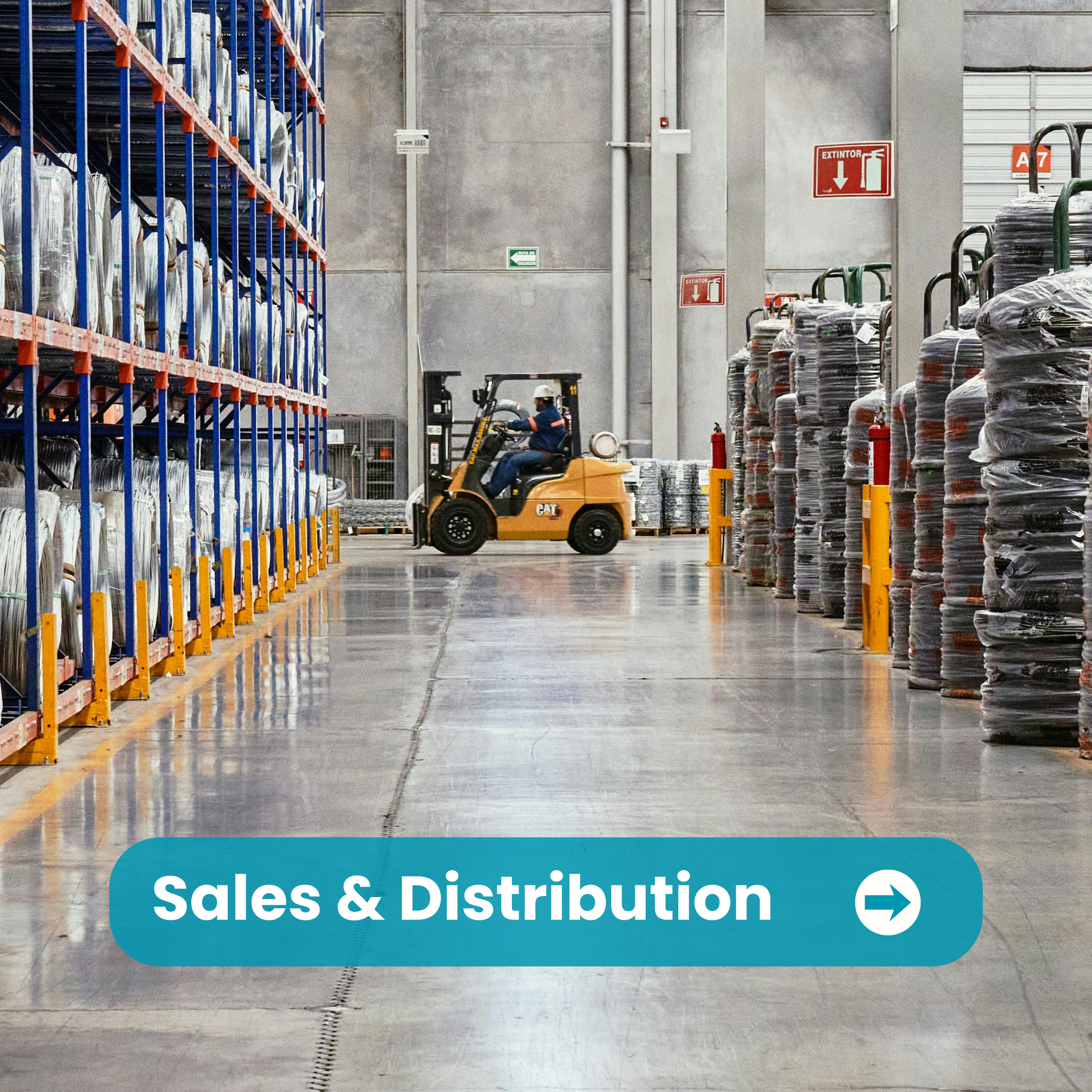 Sales & Distribution